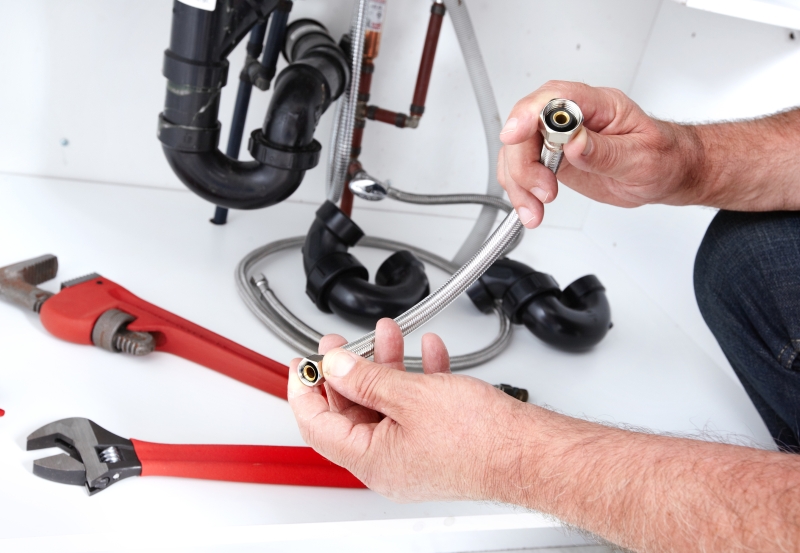 Toilet repair being carried out in Gidea Park